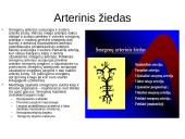 Kraujotakos sistema 15 puslapis