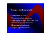 Kraujotakos sistema 16 puslapis