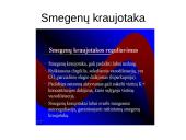 Kraujotakos sistema 17 puslapis