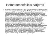 Kraujotakos sistema 18 puslapis