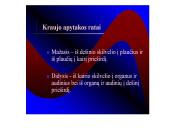 Kraujotakos sistema 20 puslapis