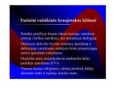 Kraujotakos sistema 8 puslapis