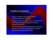 Kraujotakos sistema 10 puslapis