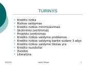 Kredito rizika ir rizikos valdymas 2 puslapis