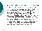 Kredito rizika ir rizikos valdymas 11 puslapis