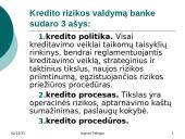 Kredito rizika ir rizikos valdymas 12 puslapis