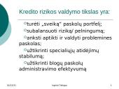 Kredito rizika ir rizikos valdymas 13 puslapis