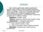 Kredito rizika ir rizikos valdymas 3 puslapis