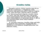 Kredito rizika ir rizikos valdymas 4 puslapis