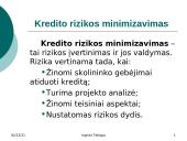 Kredito rizika ir rizikos valdymas 8 puslapis