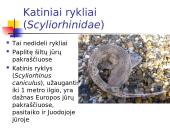 Kremzlinių žuvų įvairovė ir paplitimas 12 puslapis