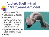 Kremzlinių žuvų įvairovė ir paplitimas 4 puslapis