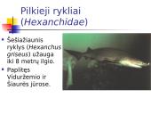 Kremzlinių žuvų įvairovė ir paplitimas 5 puslapis