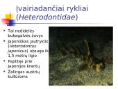 Kremzlinių žuvų įvairovė ir paplitimas 6 puslapis