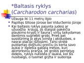 Kremzlinių žuvų įvairovė ir paplitimas 8 puslapis