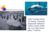 Kremzlinių žuvų įvairovė ir paplitimas 9 puslapis