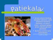 Kroatijos turizmas 15 puslapis