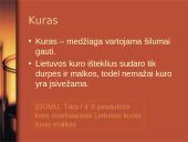 Kuras, kuro rūšys, kuro panaudojimas, ateities automobilių kuras 2 puslapis