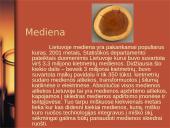 Kuras, kuro rūšys, kuro panaudojimas, ateities automobilių kuras 17 puslapis