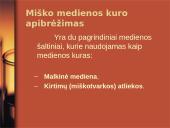 Kuras, kuro rūšys, kuro panaudojimas, ateities automobilių kuras 19 puslapis