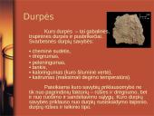 Kuras, kuro rūšys, kuro panaudojimas, ateities automobilių kuras 10 puslapis