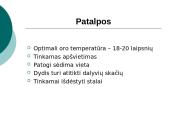 Kursų ir mokymų organizavimas 12 puslapis