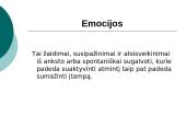 Kursų ir mokymų organizavimas 17 puslapis