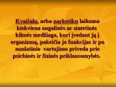 Ką mokiniai turėtų žinoti apie kvaišalus 5 puslapis