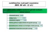 Laisvo prekių judėjimo išimtys: EBS 30 straipsnis 10 puslapis