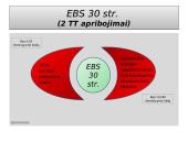 Laisvo prekių judėjimo išimtys: EBS 30 straipsnis 9 puslapis