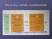 Ląstelės cheminė sudėtis 10 puslapis