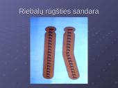 Ląstelės cheminė sudėtis 11 puslapis