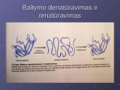 Ląstelės cheminė sudėtis 14 puslapis