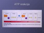 Ląstelės cheminė sudėtis 16 puslapis