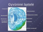 Ląstelės cheminė sudėtis 3 puslapis