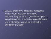 Ląstelės cheminė sudėtis 5 puslapis