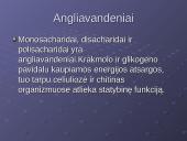 Ląstelės cheminė sudėtis 6 puslapis