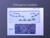 Ląstelės cheminė sudėtis 8 puslapis