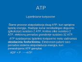 Ląstelinio kvėpavimo ir fotosintezės palyginimas 14 puslapis