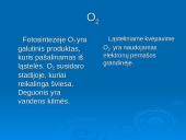 Ląstelinio kvėpavimo ir fotosintezės palyginimas 15 puslapis