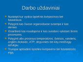 Ląstelinio kvėpavimo ir fotosintezės palyginimas 3 puslapis