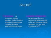 Ląstelinio kvėpavimo ir fotosintezės palyginimas 4 puslapis