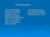 Ląstelinio kvėpavimo ir fotosintezės palyginimas 10 puslapis