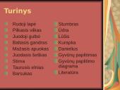 Laukiniai gyvūnai ir paukščiai 2 puslapis