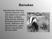 Laukiniai gyvūnai ir paukščiai 12 puslapis