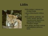 Laukiniai gyvūnai ir paukščiai 15 puslapis