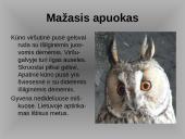 Laukiniai gyvūnai ir paukščiai 8 puslapis