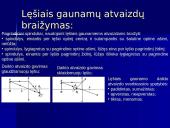 Lęšių rūšys 18 puslapis