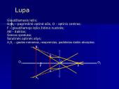 Lęšių rūšys 20 puslapis