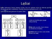 Lęšių rūšys 3 puslapis